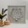 succulent backlit shadow box