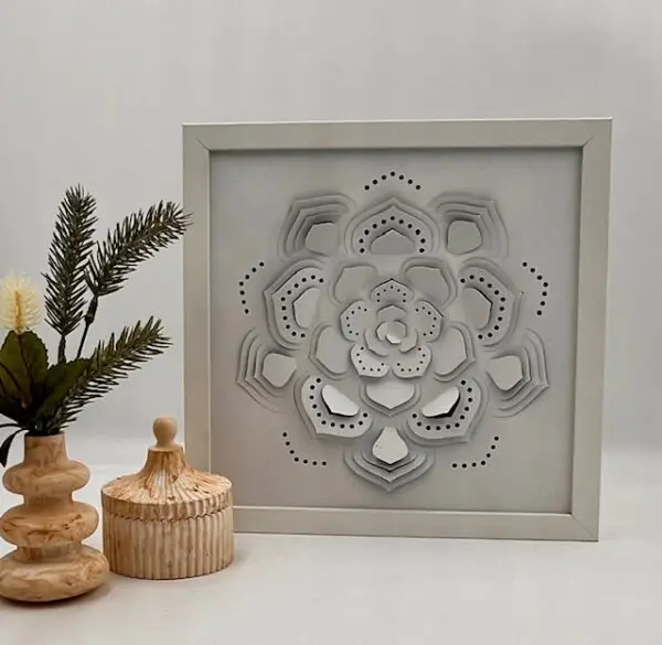 succulent backlit shadow box