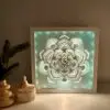 succulent backlit shadow box lit