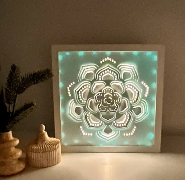 succulent backlit shadow box lit