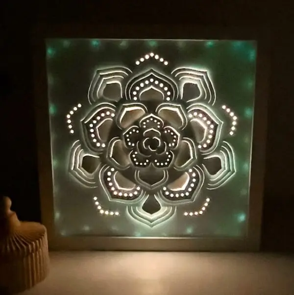 succulent backlit shadow box lit