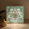 succulent backlit shadow box lit